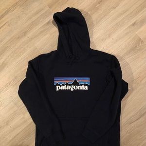 patagonia hoodie